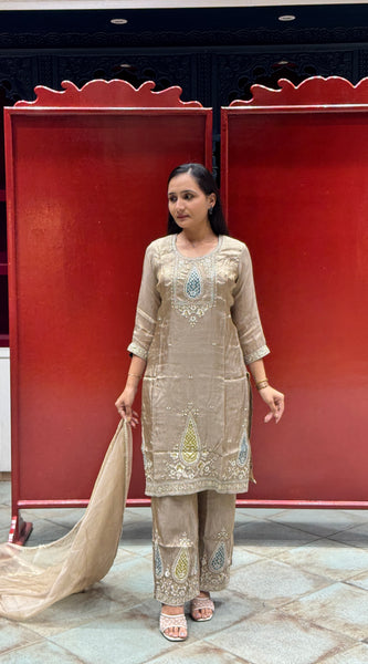 Taupe Gold Kurti Set