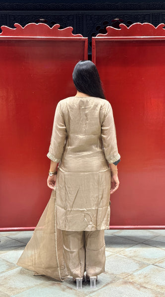 Taupe Gold Kurti Set